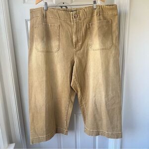 NWT Anthropologie Plus Maeve The Colette Wide Leg Crop Pants Size 26W